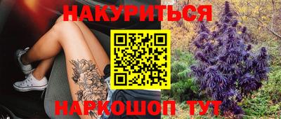 крисы Апшеронск