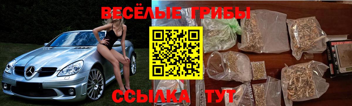 Псилоцибиновые грибы ЛСД  Вход с VPN  Бузулук  Галлюциногенные грибы Magic Shrooms 